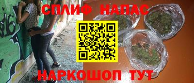 дживик Моздок