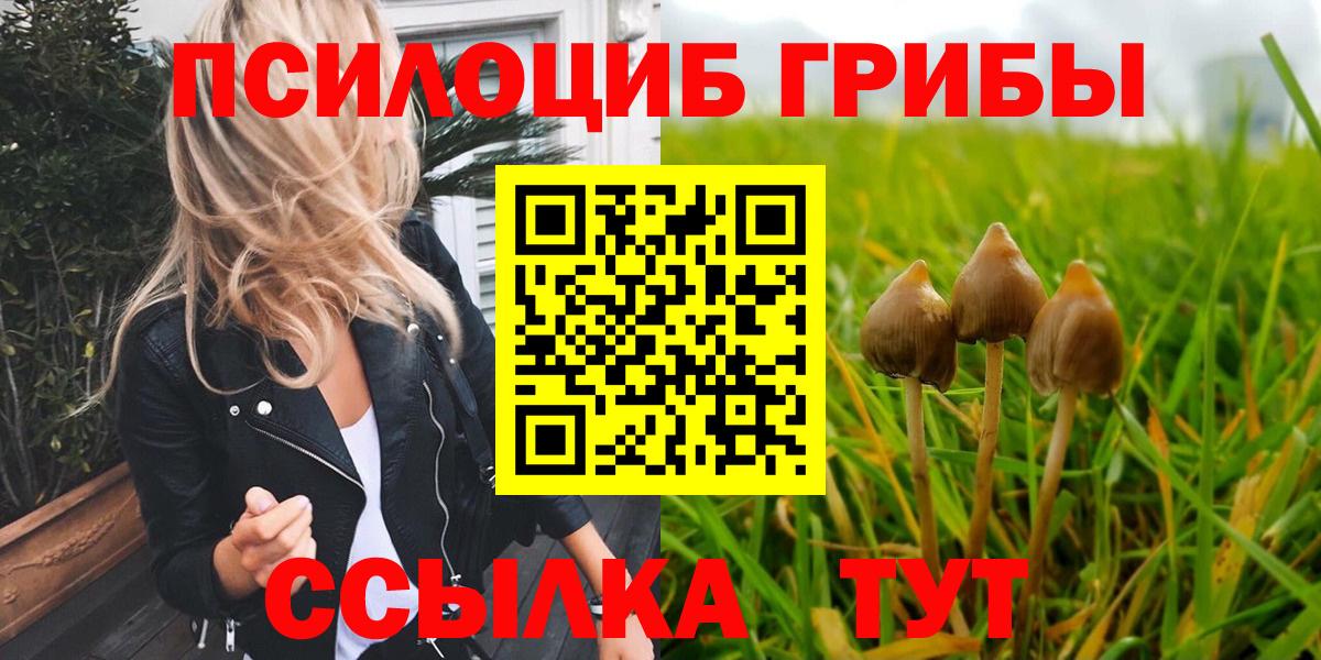 Гусев  Галлюциногенные грибы мицелий  как найти   Вход с VPN 